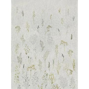 Pierre Frey - Les graminees - F3904001 Prairie