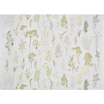 Pierre Frey - Les graminees broderie - F3932001 Prairie