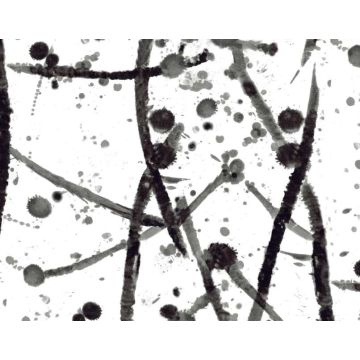 Pierre Frey - Leo - FP446001 Noir