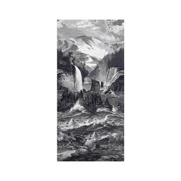 Pierre Frey - Les Rocheuses - FP519001 Fusain