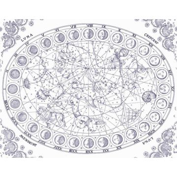 Pierre Frey - Constellation - FP528001 Nuit