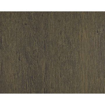 Pierre Frey - Woody - FP529011 Noline