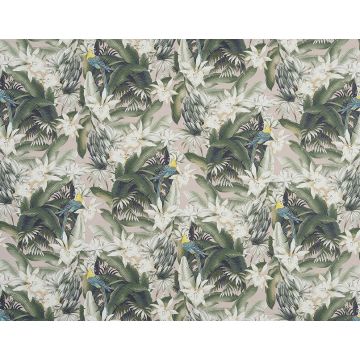 Pierre Frey - Vahine - FP540002 Petale