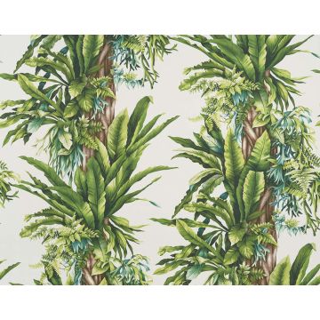 Pierre Frey - Pachira - FP548001 Blanc