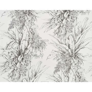 Pierre Frey - Jalapao - FP549001 Fusain