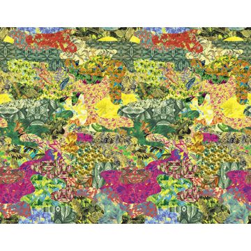 Pierre Frey - Chromatropic - FP707001 Original