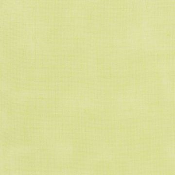 Mira X - Primavera - 5700-111 Hellgrün