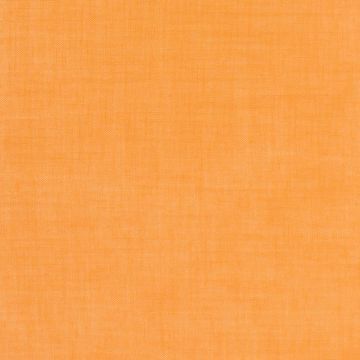 Mira X - Primavera - 5700-154 Mandarine