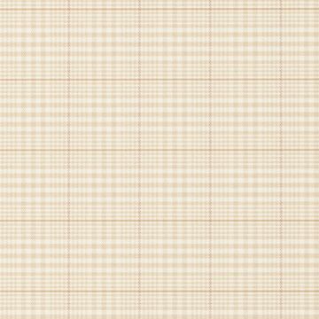 Ralph Lauren - RL Classic - Stripes and Plaids - Barrington Plaid PRL019/01