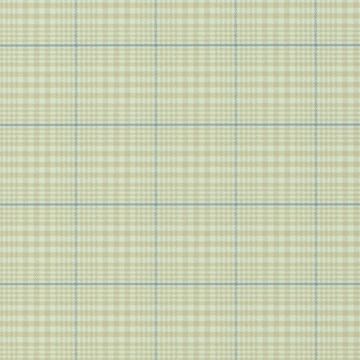 Ralph Lauren - RL Classic - Stripes and Plaids - Barrington Plaid PRL019/03