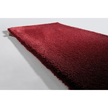 Limited Edition - Queen Silk - QS41558 Amarante