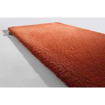 Limited Edition - Queen Silk - QS34529 Langoustino