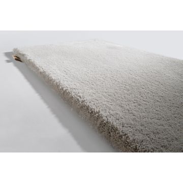 Limited Edition - Queen Silk - QS17553 Moonbeam