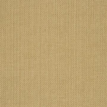 Ralph Lauren - Jute - FRL086/10 Rye