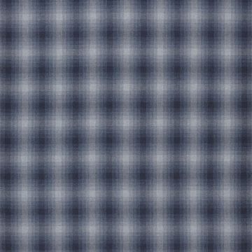 Ralph Lauren - Mavericks Plaid - FRL2428/02 Indigo