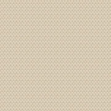 Ralph Lauren - Hollins Weave - LCF50787F Oatmeal