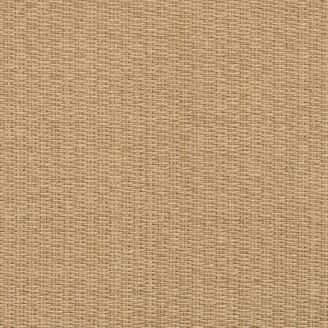 Ralph Lauren - Lamun Weave - LCF65979F Palm