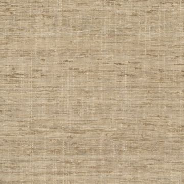 Ralph Lauren - Chiangmai Silk - LCF65994F Papyrus