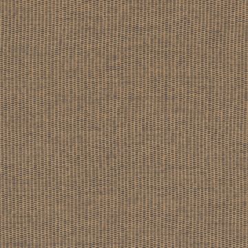 Ralph Lauren - Nantucket Raffia - LCF66004F Tortoise