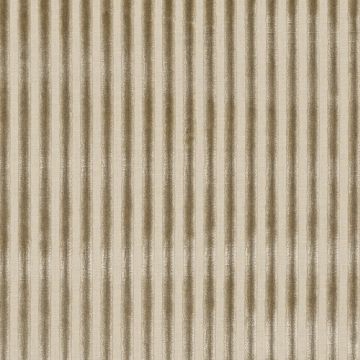 Ralph Lauren - Moorhall Velvet Stripe - LCF66140F Cameo