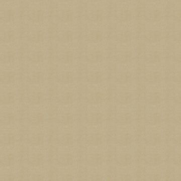 Ralph Lauren - Nigel Velvet - LFY19406F Camel