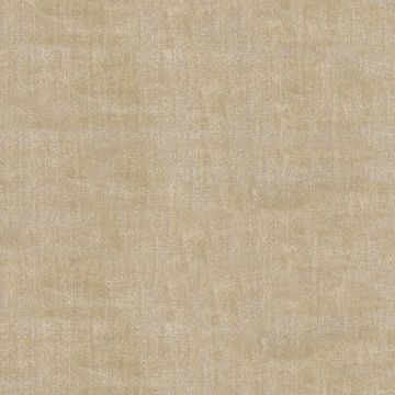 Ralph Lauren - Palace Silk Velvet - LFY50752F Camel