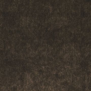 Ralph Lauren - Palace Silk Velvet - LFY50766F Bridle