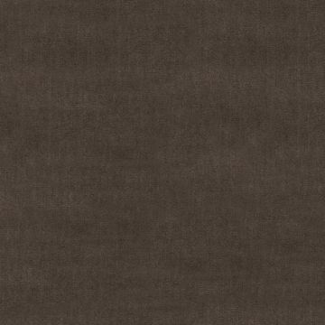 Ralph Lauren - Palace Silk Velvet - LFY50768F Truffle