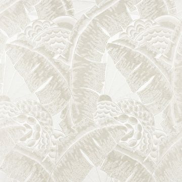 Ralph Lauren - Coco De Mer - LFY64889F Opal