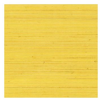 Élitis - Coiba - RM 110 21 Coiba