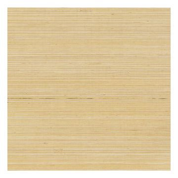 Élitis - Coiba - RM 110 24 Coiba