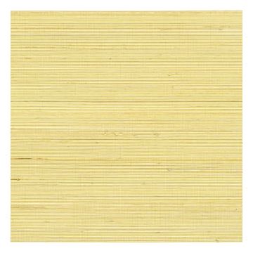 Élitis - Coiba - RM 110 60 Coiba