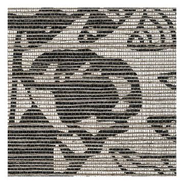 Élitis - Nature précieuse - RM 642 80 Le vol du dragon