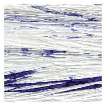 Élitis - Geisha - Boracai - RM 644 40 L'esprit des mers