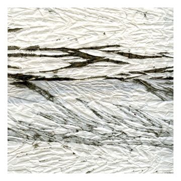 Élitis - Geisha - Boracai - RM 644 70 Un jeu sauvage