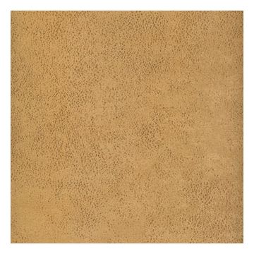 Élitis - Vintage leather - RM 790 29 Passion enivrante