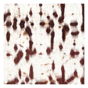 Élitis - Libero - Java - RM 802 01 La grâce et l'élégance