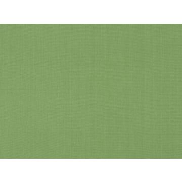 Romo - Chilton - 7220/58 Cilantro