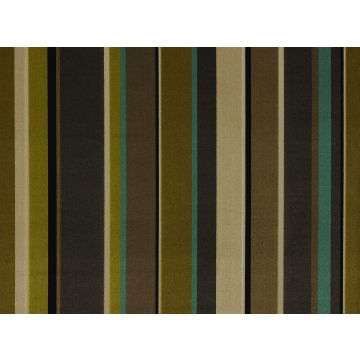 Romo - Piemonte - 7362/03 Cactus