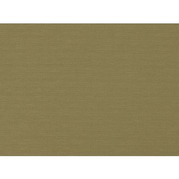 Romo - Calida - 7393/10 Cactus