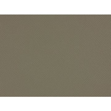 Romo - Rivo - 7426/08 String