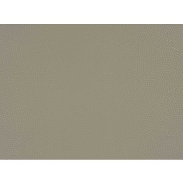 Romo - Rivo - 7426/09 Arborio