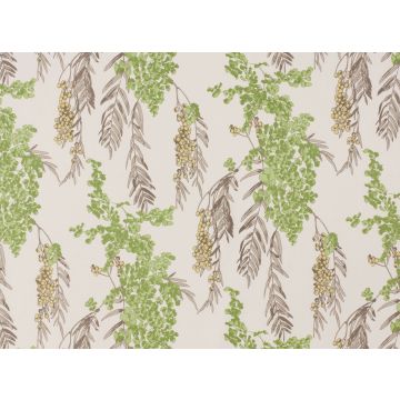 Romo - Fougere - 7462/04 Cilantro