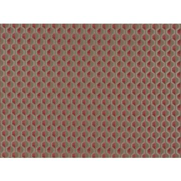 Romo - Carini - 7482/06 Rocoto