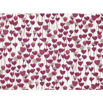 Romo - Tulipa - 7525/01 Begonia