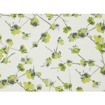 Romo - Keiko - 7527/04 Cilantro