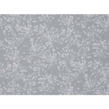 Romo - Lisi - 7528/07 Abalone