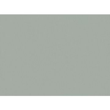 Romo - Forenza - 7558/65 Silver Blue