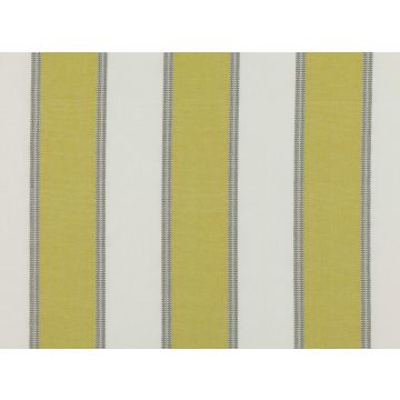 Romo - Sitari - 7633/02 Euphorbia