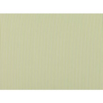 Romo - Brinley - 7722/05 Cilantro